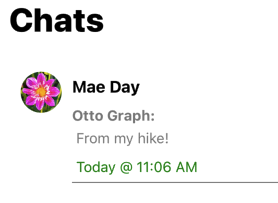 1-on-1 Chat